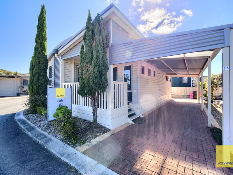 14/40 Wellington Street, Centennial Park