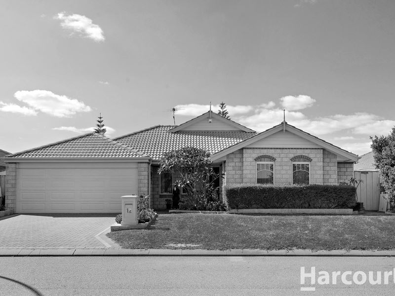 12 Whitegum Pass, Halls Head
