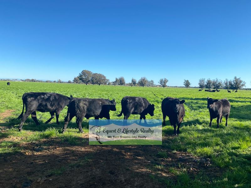 44 Wickham Road, Yarloop