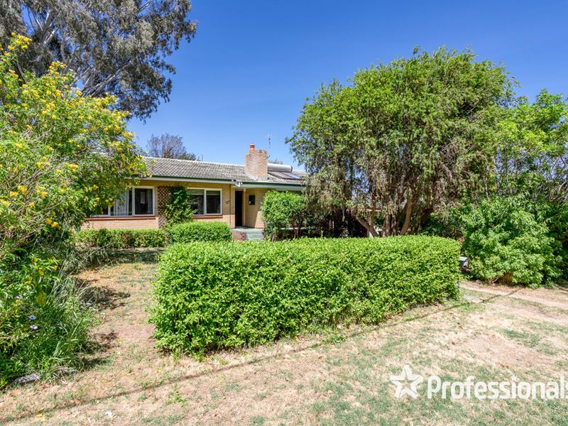 21 Peter Street, Kelmscott WA 6111