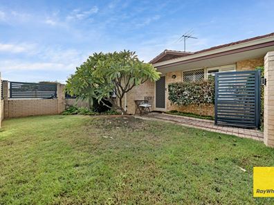 36 Newhaven Way, Nollamara WA 6061