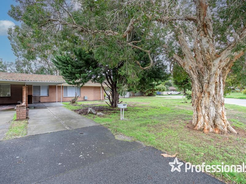20 Baryna Street, Armadale