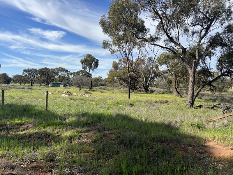 1 Tank Street, Grass Valley