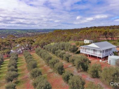 76 Folewood Road, Toodyay WA 6566