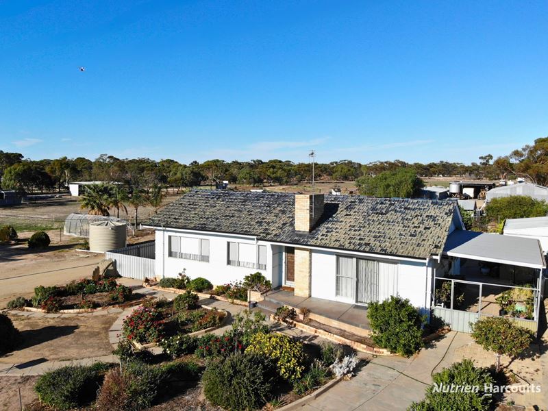 21 King Street, Kellerberrin WA 6410