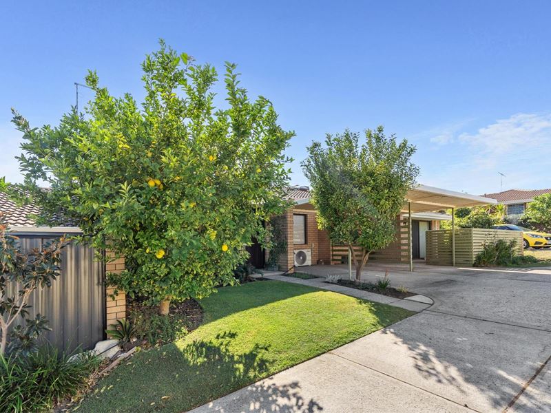 3/6 McKimmie Road, Palmyra WA 6157