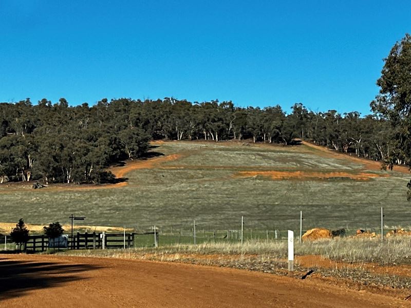 187 O'connell Road, Wandering
