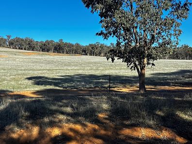 187 O'connell Road, Wandering WA 6308