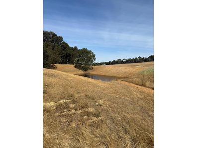 187 O'connell Road, Wandering WA 6308