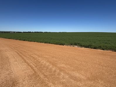 Lot 55 Ahern Place, Hickety WA 6532