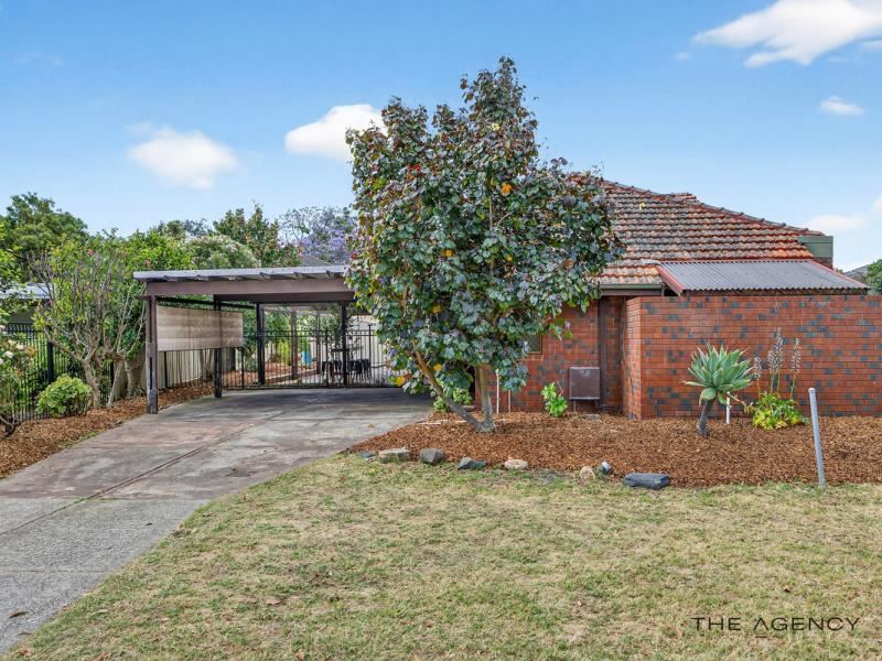8 Canning Avenue, Mount Pleasant