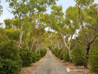 21 Citrus Court, Two Rocks WA 6037