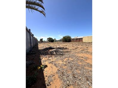 25 McNish Street, South Carnarvon WA 6701