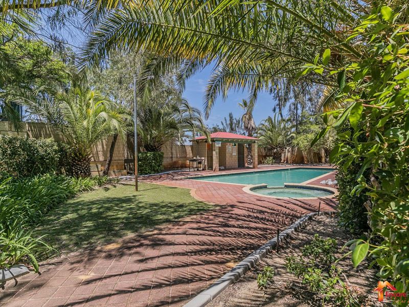8/13 Dowling Place, Orelia