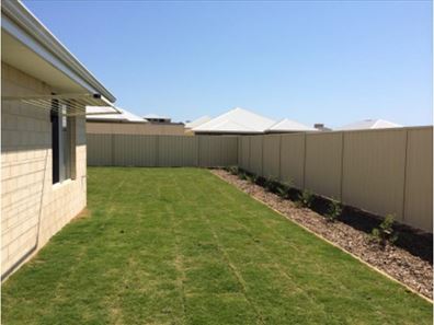8 Herbert street, Wandina WA 6530