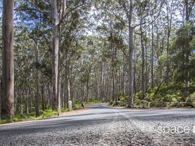 25 Daisy Rise, Cowaramup WA 6284