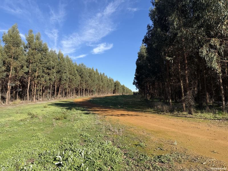 681 Chorkerup Road, Narrikup WA 6326