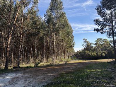 681 Chorkerup Road, Narrikup WA 6326