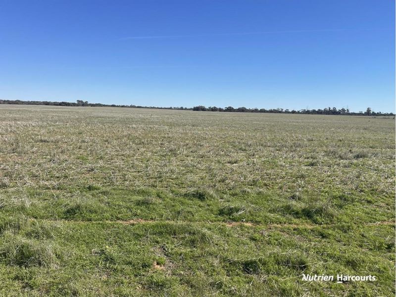 331 Red Dam Road, Cleary