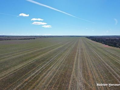 331 Red Dam Road, Cleary WA 6472