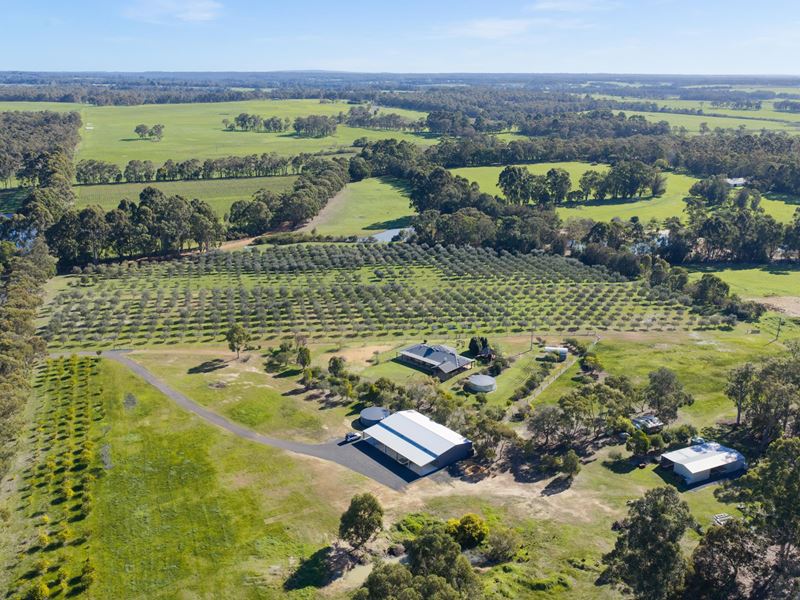 960 Bessell Road, Rosa Brook