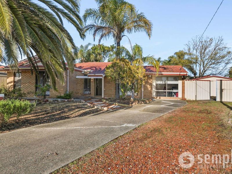 31 Mudlark Way, Yangebup WA 6164