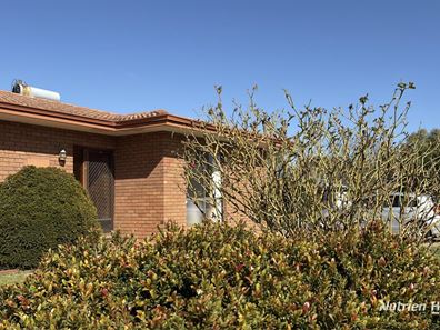 4 Fox Street, Narrogin WA 6312