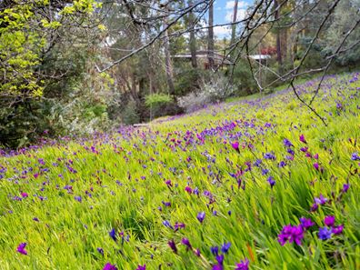 46 Urch Road, Roleystone WA 6111