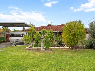 12 Musca Close, Rockingham WA 6168