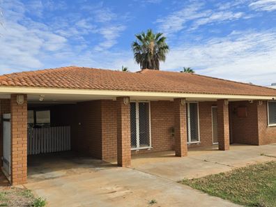 8 Newman Place, Carnarvon WA 6701