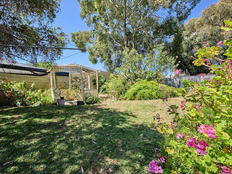 186 Burniston Street, Scarborough WA 6019