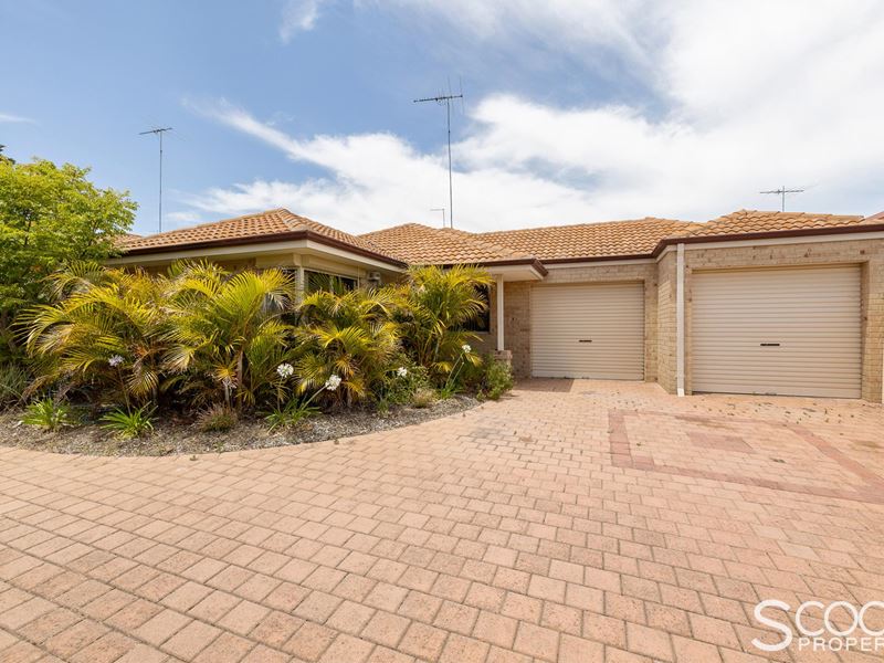 2/19 Orsulich Loop, Spearwood WA 6163