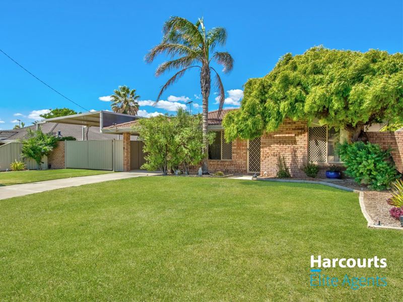 5 Fendam Street, Waikiki