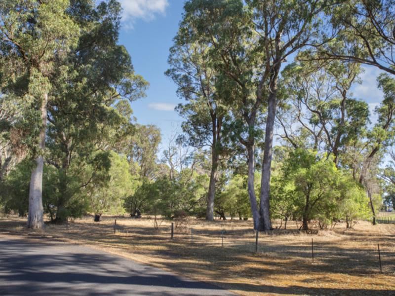 25 Forest Court, Reinscourt