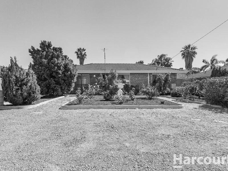 3 Shashta Drive, Greenfields