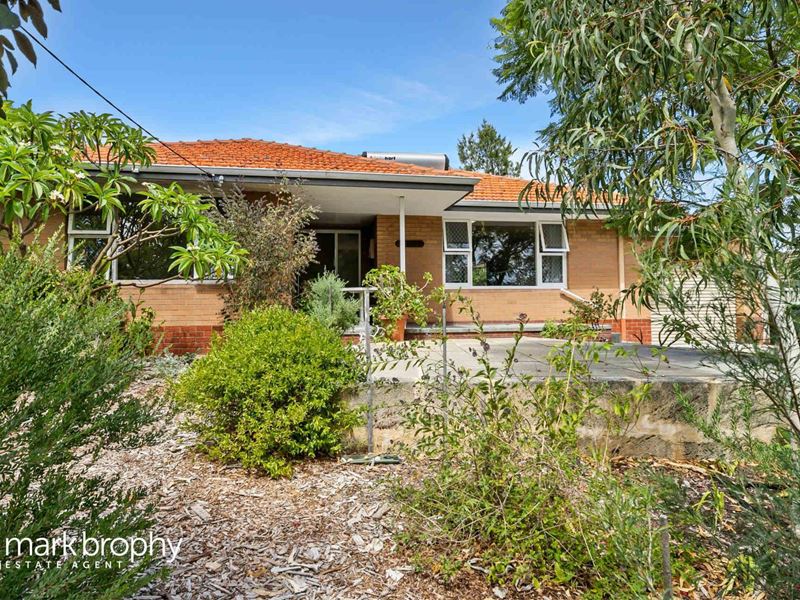 11 Hereford Place, Spearwood