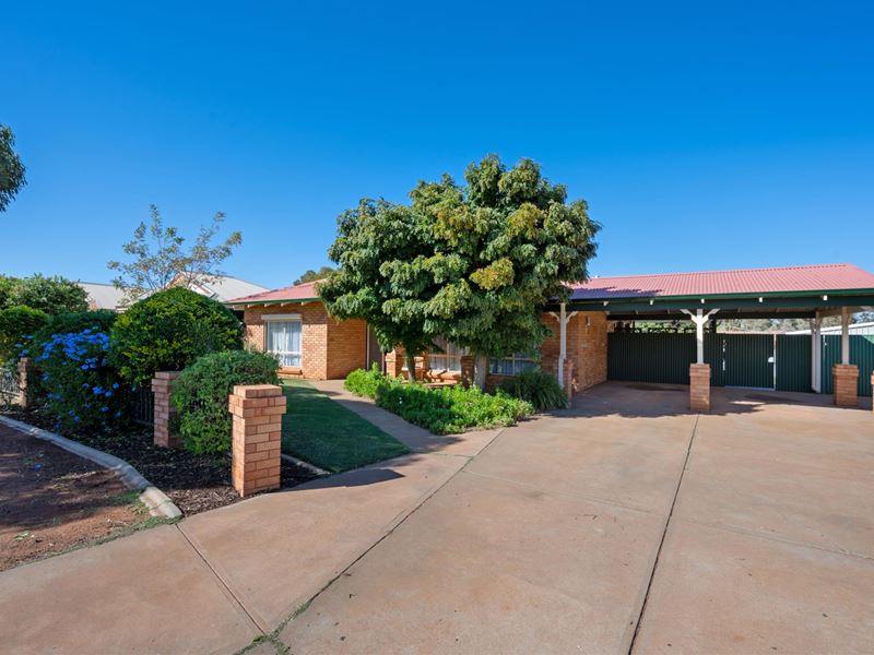 18 Paddington Drive, Hannans