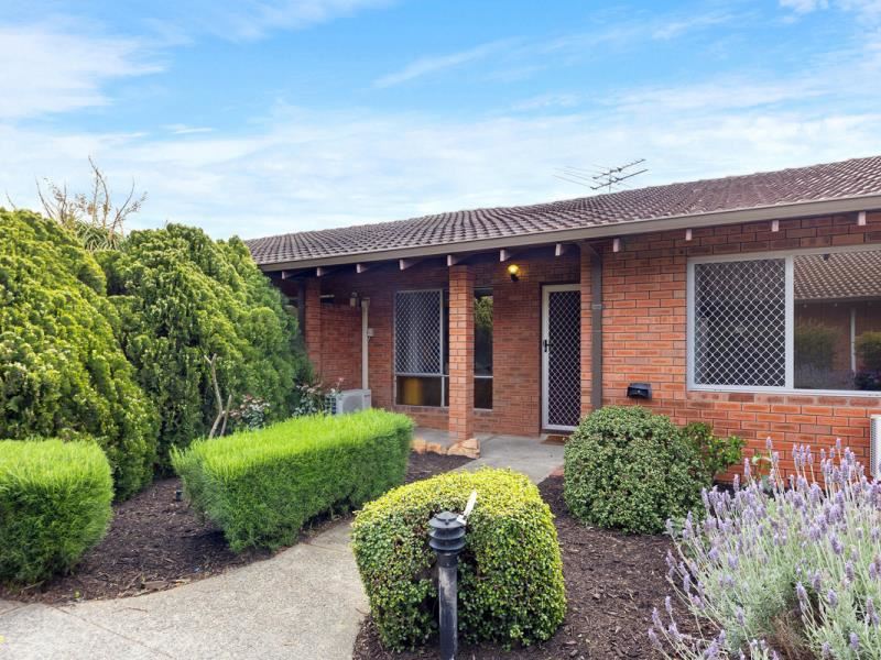 2/145 Lawley Street, Yokine