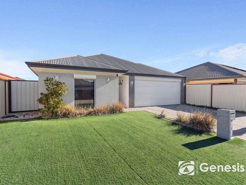 17 Dowitcher Loop, Gosnells WA 6110