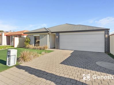 17 Dowitcher Loop, Gosnells WA 6110