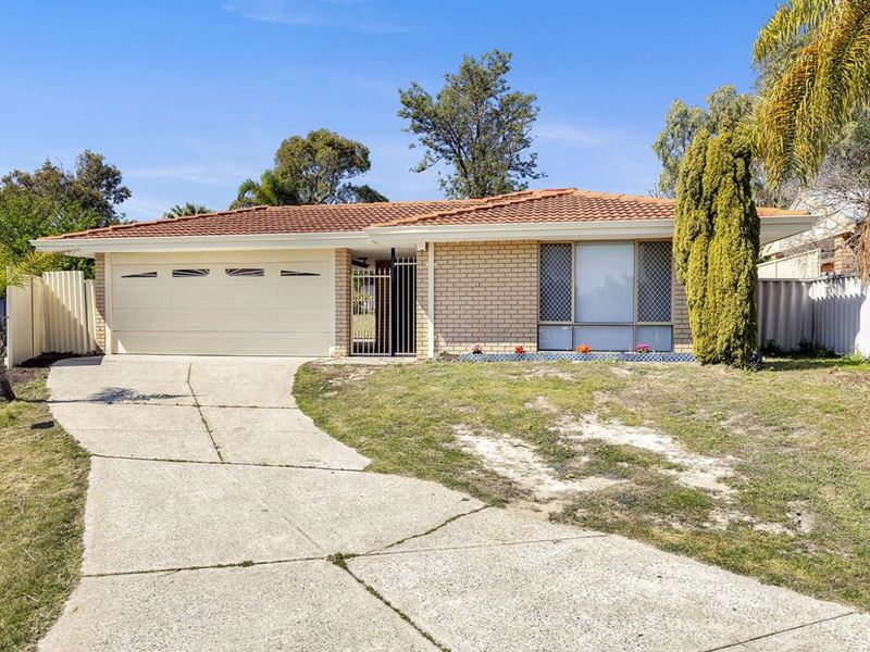 16 Wilmore Green, Mirrabooka WA 6061