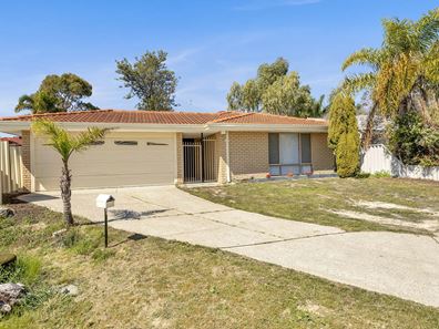 16 Wilmore Green, Mirrabooka WA 6061