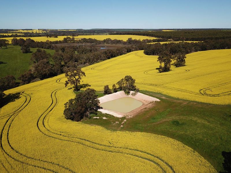 501 Boyup Brook-Cranbrook Road, Frankland River WA 6396