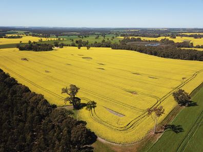 501 Boyup Brook-Cranbrook Road, Frankland River WA 6396