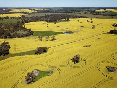 501 Boyup Brook-Cranbrook Road, Frankland River WA 6396