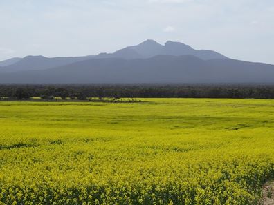 Lot 6144&6148,  Woogenellup North Road, Woogenellup WA 6324