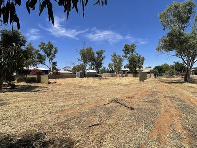 18 Hesford Street, Perenjori WA 6620