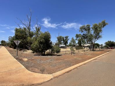 18 Hesford Street, Perenjori WA 6620