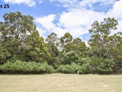 25/ Preston River Rise, Boyanup WA 6237