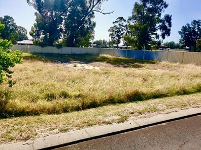 9 MCDOWELL STREET, Yarloop WA 6218